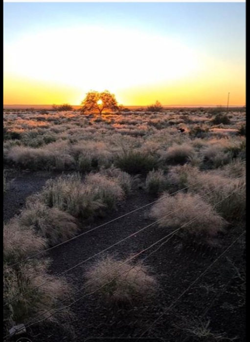 Commercial Property for Sale in Brandvlei Northern Cape